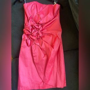 Jessica McClintock Pink Dress